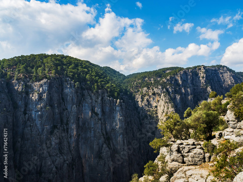 View of the mountain gorge in the Tazy canyon. Vertical mountain fault, mountain texture. View from the peak of the mountain. Trees grow on the slope. No people.