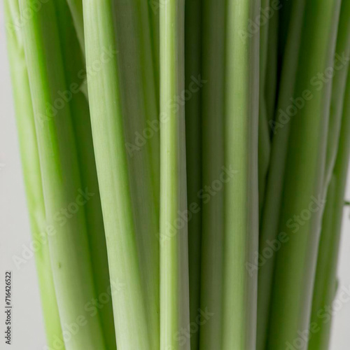 fresh celery stalk  bunch  digital art