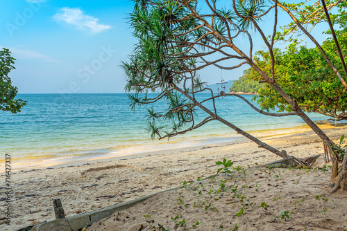 Screw palms and deciduous trees on a small bay on Ao Kwang peeb beach, also known as Monkey Bay, in the far north of Ko Phayam Island