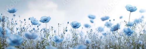  Blue Wildflowers Against Gray Sky  Banner Image For Website  Background  Desktop Wallpaper