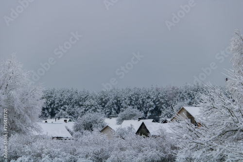 houses in the forest in winter
