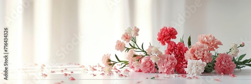  Carnations On White Table Creative Modern, Banner Image For Website, Background, Desktop Wallpaper