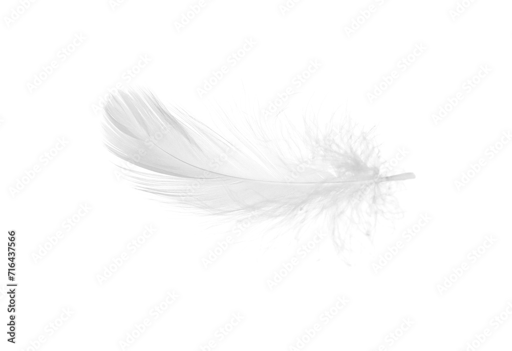 Beautiful fluffy bird feather isolated on white Beautiful fluffy bird feather isolated on white