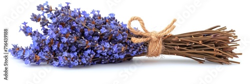  Dried Lavender Bouquet On White Background, Banner Image For Website, Background, Desktop Wallpaper