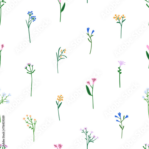 Seamless floral pattern. Spring and summer field flowers, endless background. Botanical repeating print design, tiny stems, blooms. Flora texture for textile, fabric. Flat graphic vector illustration