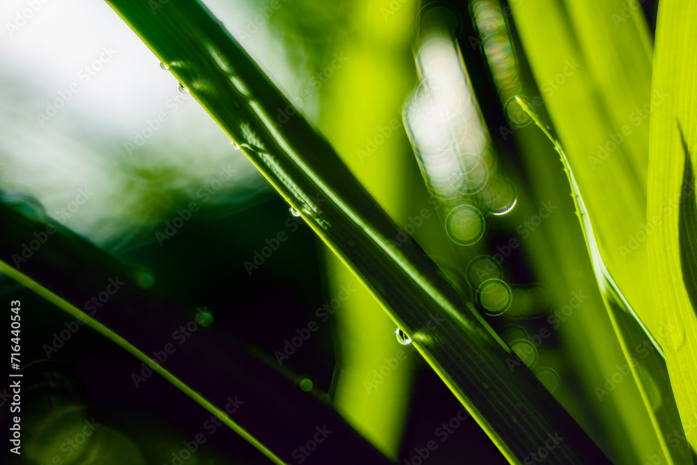 Full frame shot of water on metal, Close-up of bubbles on railing against landscape,Rear view of man standing by grass against mountains. Full frame shot of water on metal, Close-up of bubbles on railing against landscape,Rear view of man standing by grass against mountains.