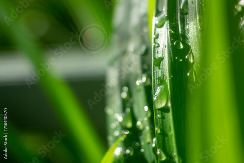 Картината върху платно Full frame shot of water on metal, Close-up of bubbles on railing against landscape,Rear view of man standing by grass against mountains