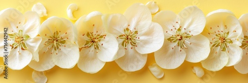  Fruity Textures Namely Flower Carved Apple  Banner Image For Website  Background  Desktop Wallpaper