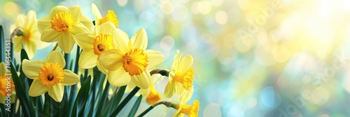  Happy Womens Day Post Card Daffodils, Banner Image For Website, Background, Desktop Wallpaper