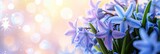  Hyacint Spring Flower Mothers Day Concept, Banner Image For Website, Background, Desktop Wallpaper