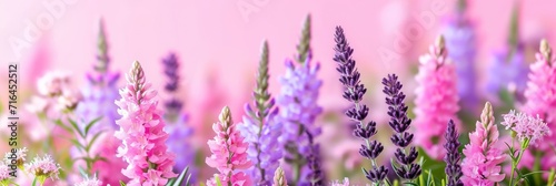  Summer Flowers Layout Flatlay Pink Purple, Banner Image For Website, Background, Desktop Wallpaper