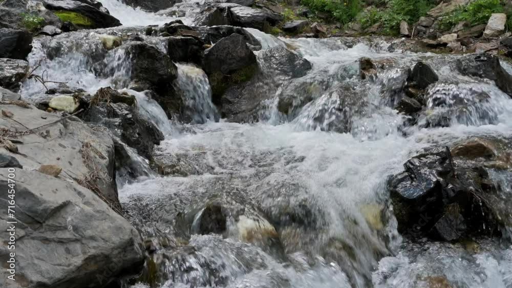 mountain river stream with clear water and a fast flowing with stones in summer mountain river stream with clear water and a fast flowing with stones in summer