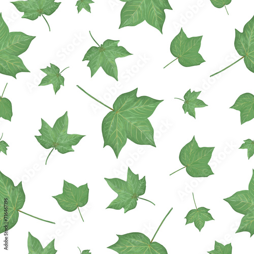 Hand drawn delicate floral seamless pattern. Cotton plant leaves on white background. Decorative vintage style illustration for printing on different surfaces. © EF Studio