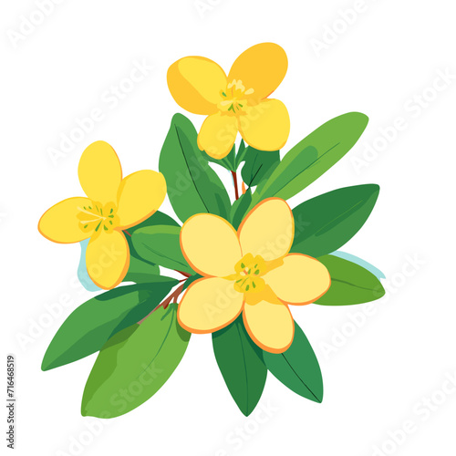 yellow flower isolated on white background