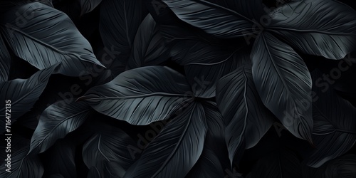 Black and White Photo of Leaves, Natures Monochromatic Beauty Captured