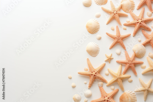 banner with shells and starfish on the right side