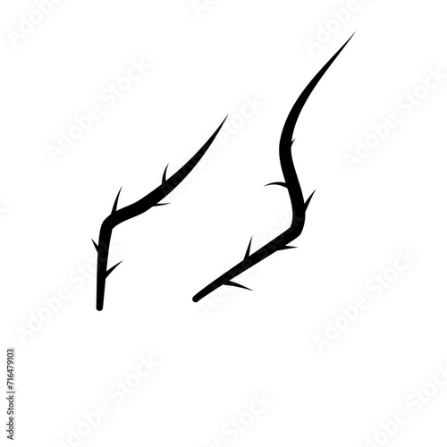 Thorn Silhouette