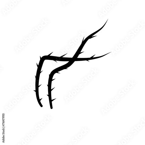 Thorn Silhouette