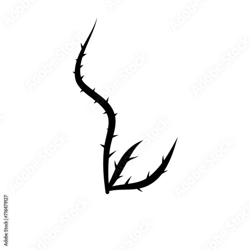 Thorn Silhouette