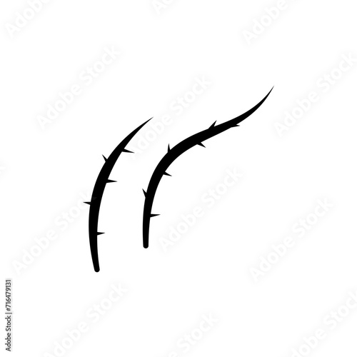 Thorn Silhouette
