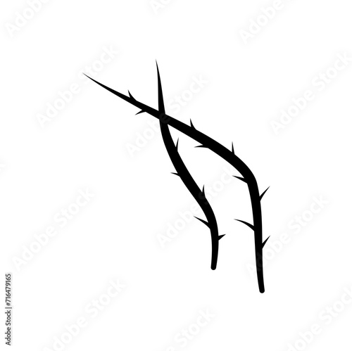 Thorn Silhouette