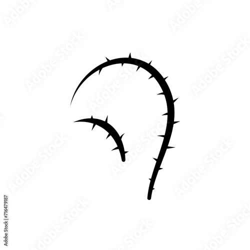Thorn Silhouette