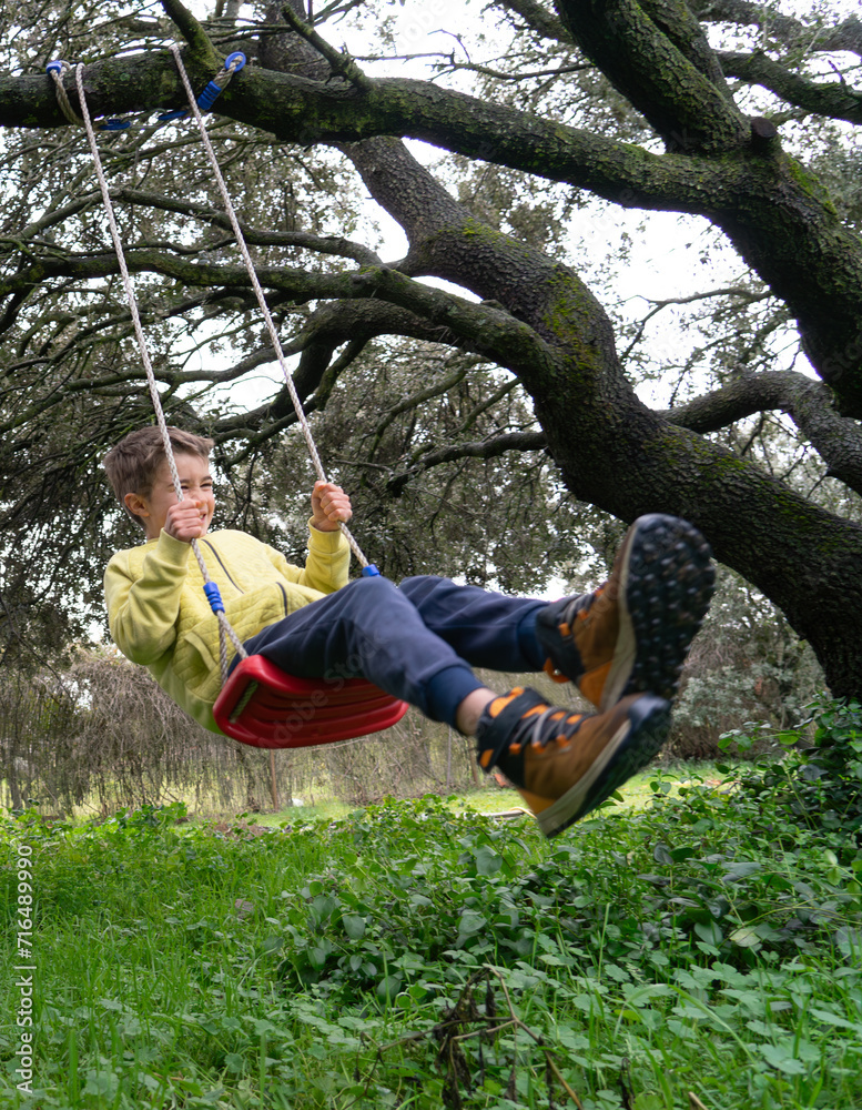 Boy riding a swing from a big tree