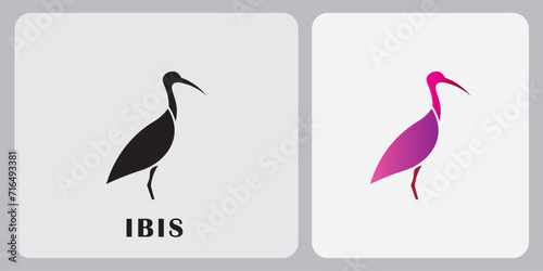 ibis bird logo design vector, with minimalistic design