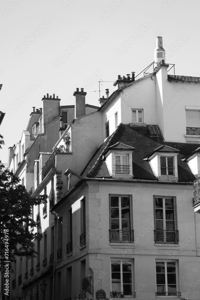Paris. Old Parisian Architecture Buildings with Mansard Roofs. Paris Cityscape.