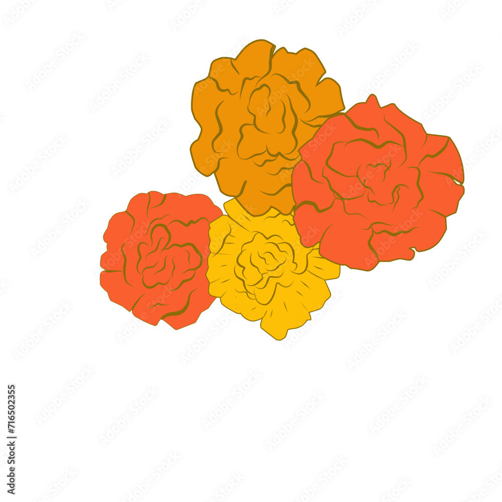Marigold Flower Blossom Marigold Flower Blossom