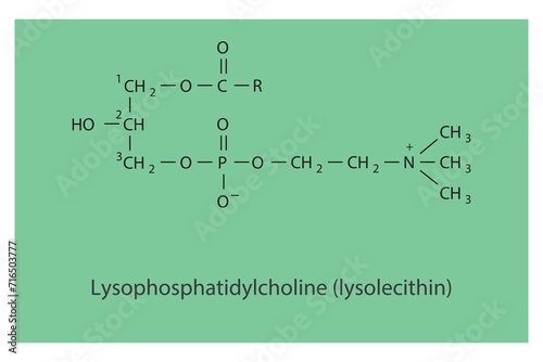 Molecular structure of LPlasmalogen Ethanolamine - EtnPLA White Scientific vector illustration.