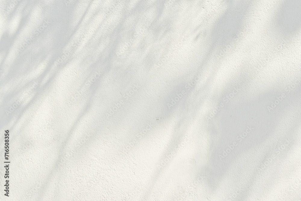 Sunlight shadows, natural branches on concrete cement wall background surface. Sunlight shadows, natural branches on concrete cement wall background surface.