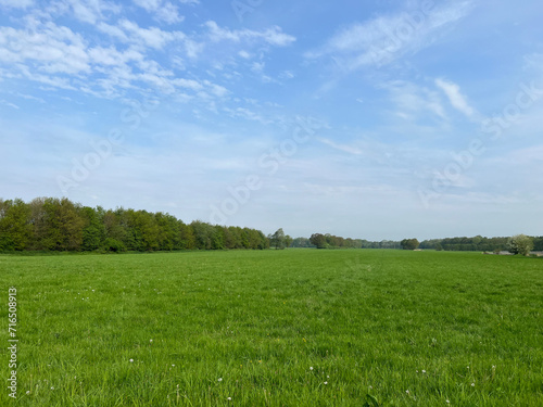Farm landscape during summer in appelscha