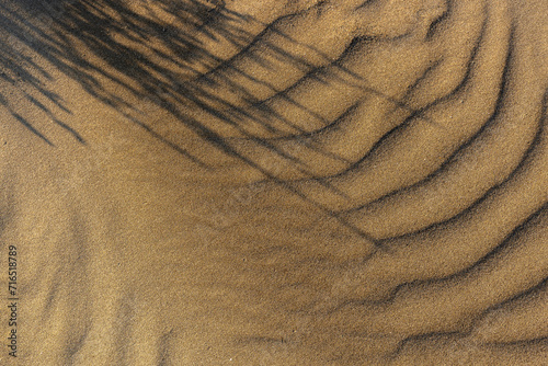 Dune waves and sand pattern. Wave, sand dunes. The sand changes shape due to the wind to form sand ripples and jagged lines. Selective focus. Copy space. © Elena Elizarova