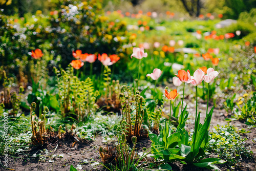 A garden bed adorned with delicate tulips in various colors
