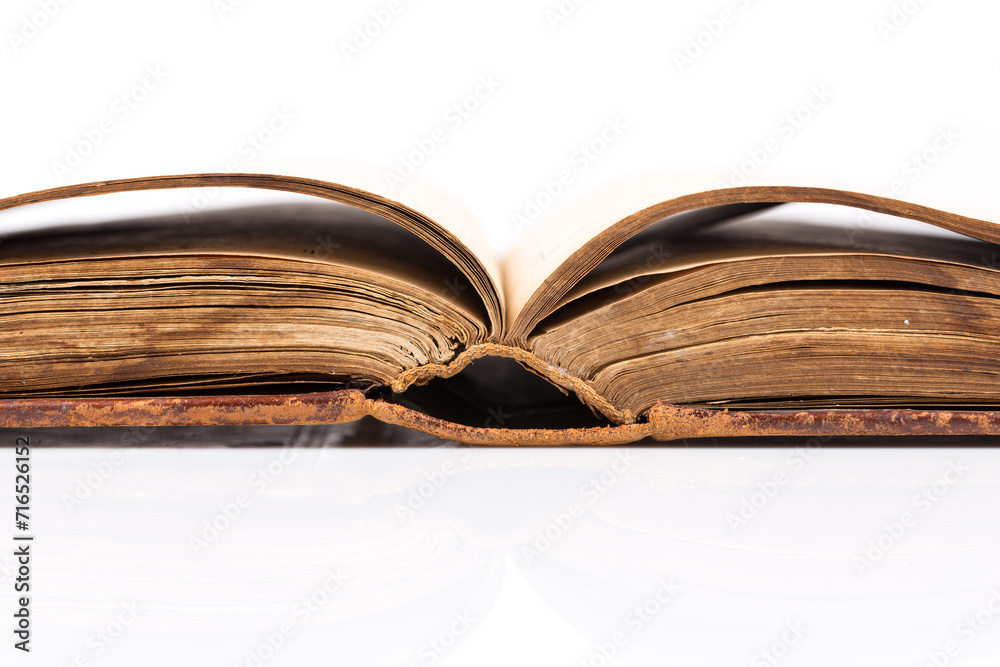 Fototapeta premium Open Book blank on white
