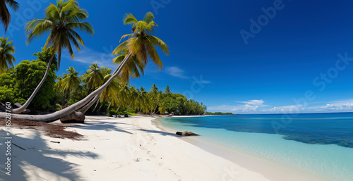 Title panoramic view of tropical beach with clear blue water and palm trees on sunny day