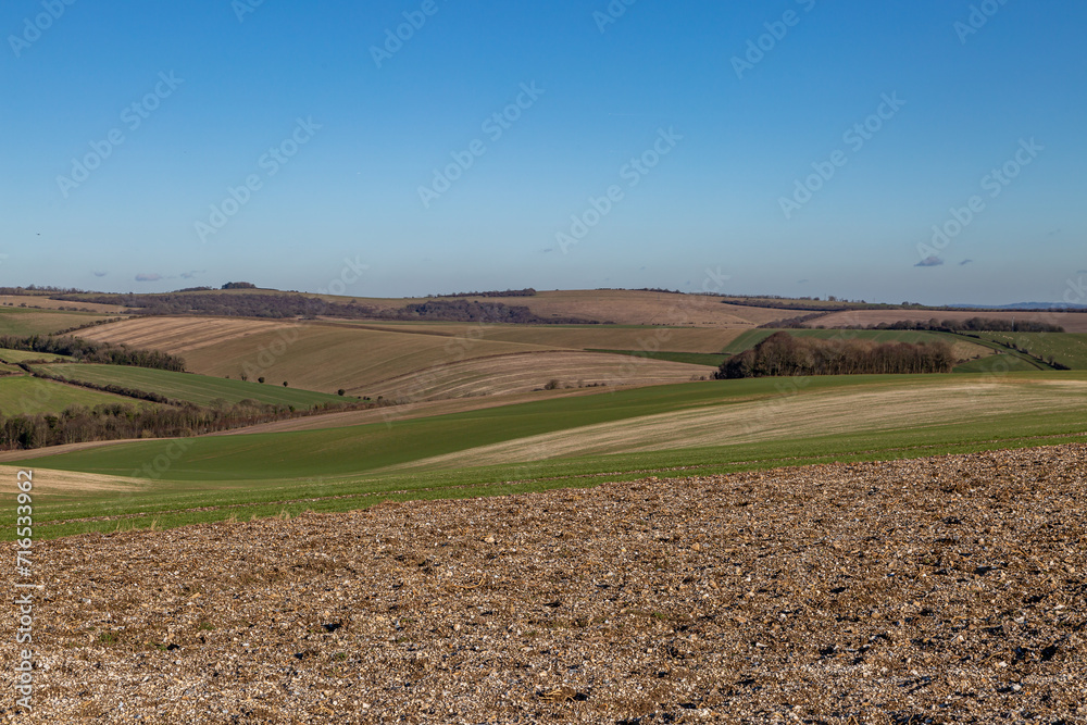 Looking out over farmland in the South Downs, on a sunny winter's day