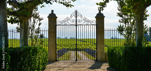 Luxury iron gate to the entrance of a vineyard near St-Emilion, France. High quality photo