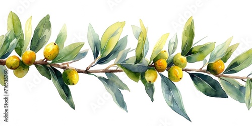 Leinwand Poster Mediterranean harvest: Fresh olive branch with green leaves, ripe fruits, and a white background