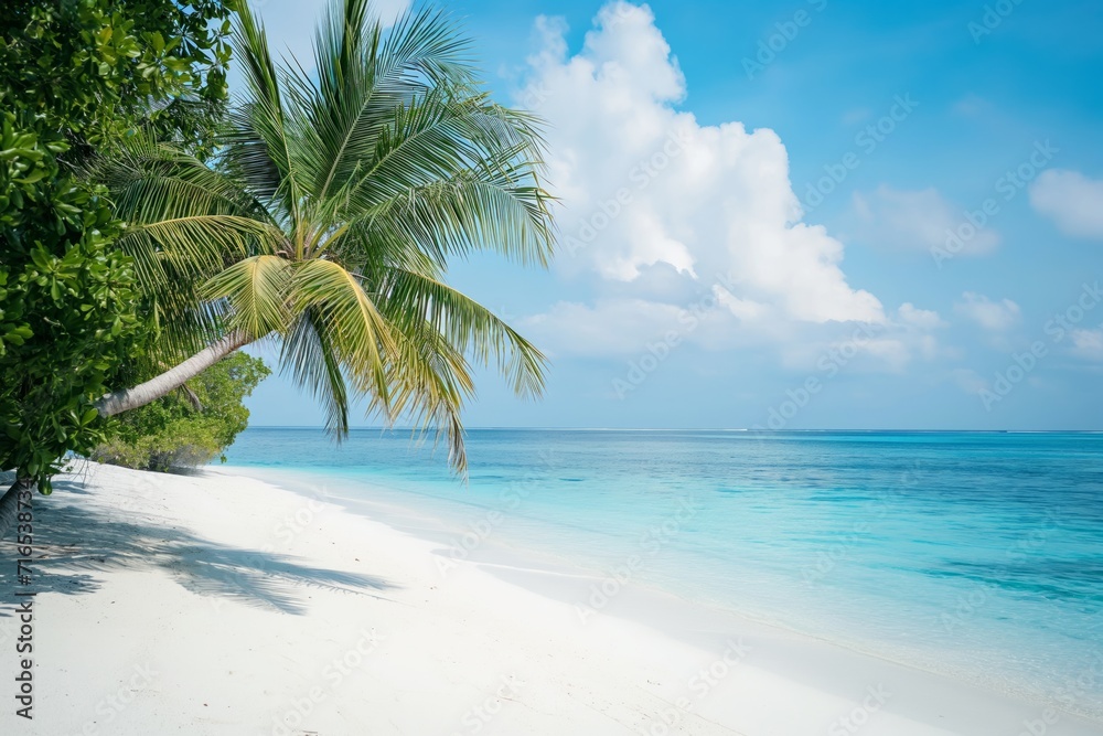 Palm tree on tropical paradise beach with blue sky and white sand with space for text