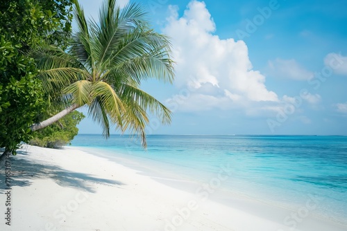 Palm tree on tropical paradise beach with blue sky and white sand with space for text