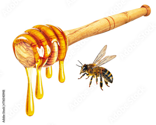 dripping honey from scoop and bee isolated on white background