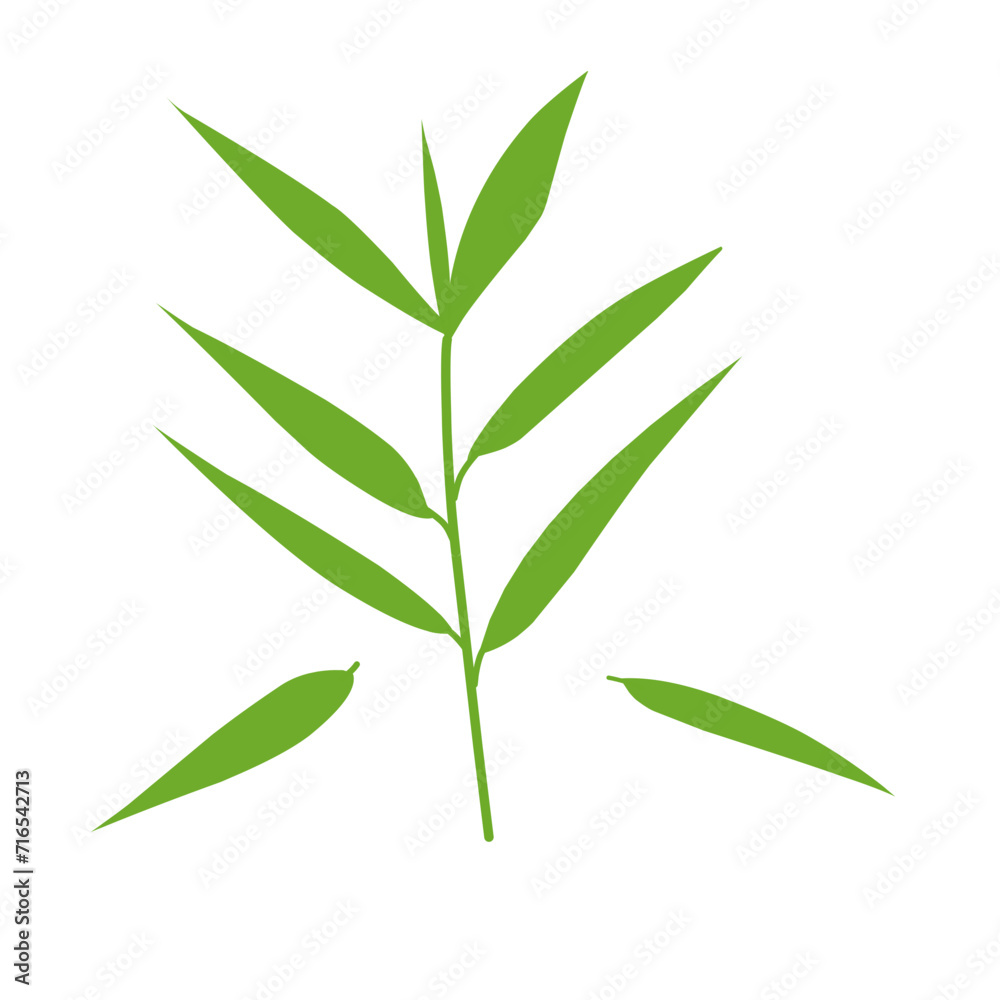 Fototapeta premium Bamboo Leaf 