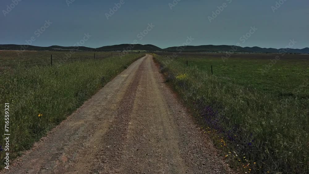 Rural Road Amidst Verdant Fields in Ciudad Real Rural Road Amidst Verdant Fields in Ciudad Real