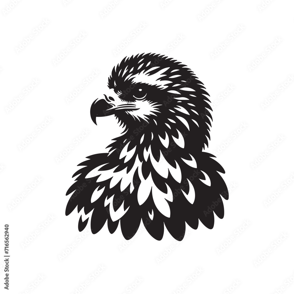 Obraz premium Eagle heads black and white vector