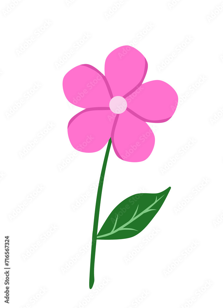 Doodle blooming flower illustration watercolor botanical drawing with pink and green colors that can used for sticker, icon, decorative, e.t.c	on transparent background