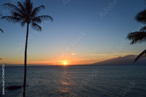 Tropical Sunset with Palm Silhouette in Hawaii