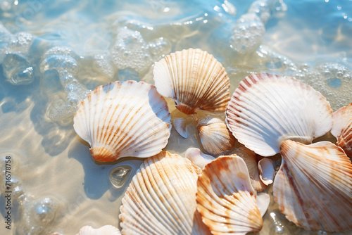 Summer Daytime Shells And Water Waves Outdoor Shells And Water Waves Photography Map Background