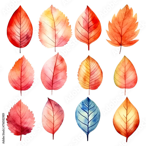 set of leaves watercolor © IMRON HAMSYAH